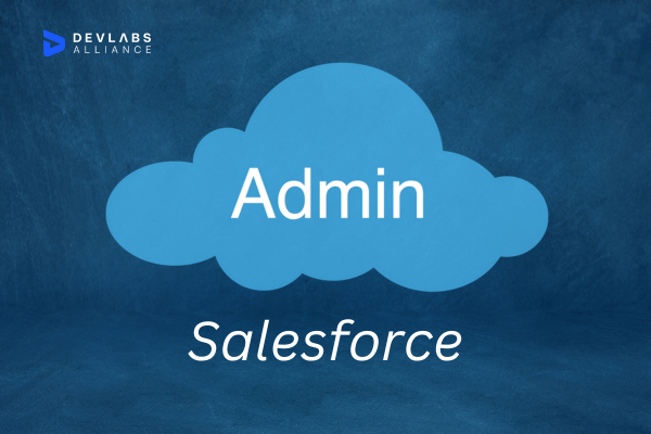 salesforce-admin-certification-training1